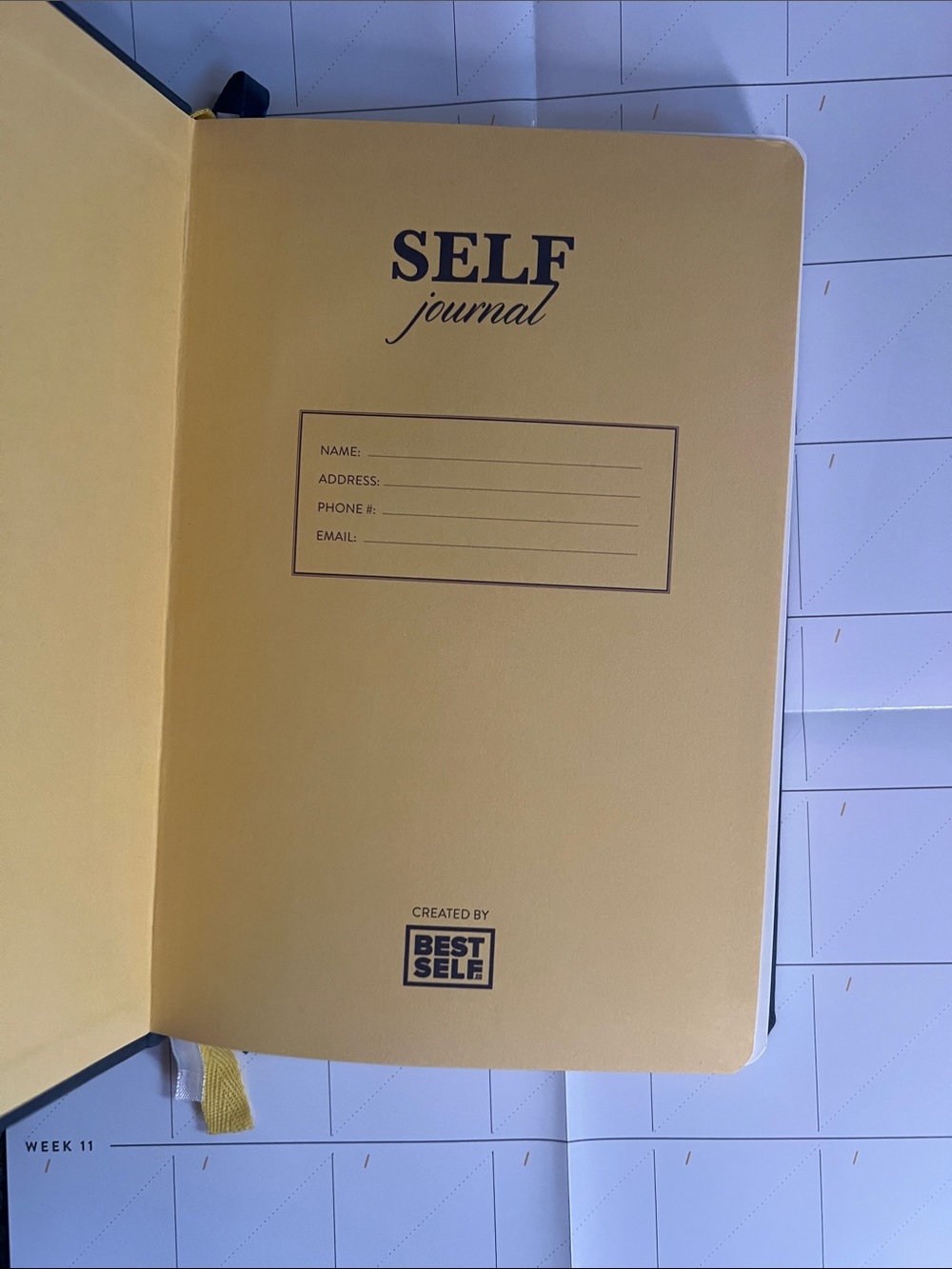 Self Journal - Picture 10 of 16